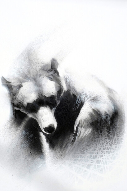 Li-Hill, Search, (Grizzly Bear – Ursus arctos), Graphite and aerosol on paper, 30in x 22in (76 x 56cm)