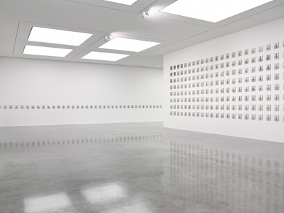 The Real. Courtesy of White Cube