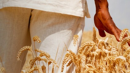 Il futuro dell'Africa, investire in agricoltura