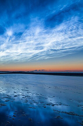 Linea a orillas del mar, libertad