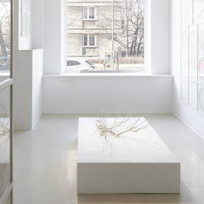 Wojciech Ireneusz Sobczyk, The circle, exhibition view. Courtesy of Leto Gallery. Photo by Bartosz Górka