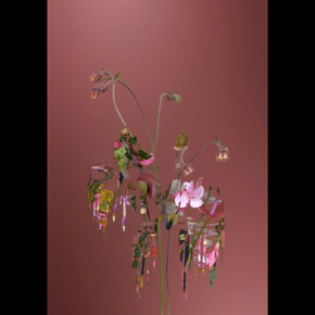 Sandra Kantanen. Courtesy of Purdy Hicks Gallery