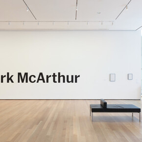 Projects 195. Park McArthur. Courtesy of MoMA
