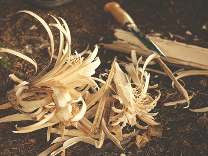 Tools for woodwork