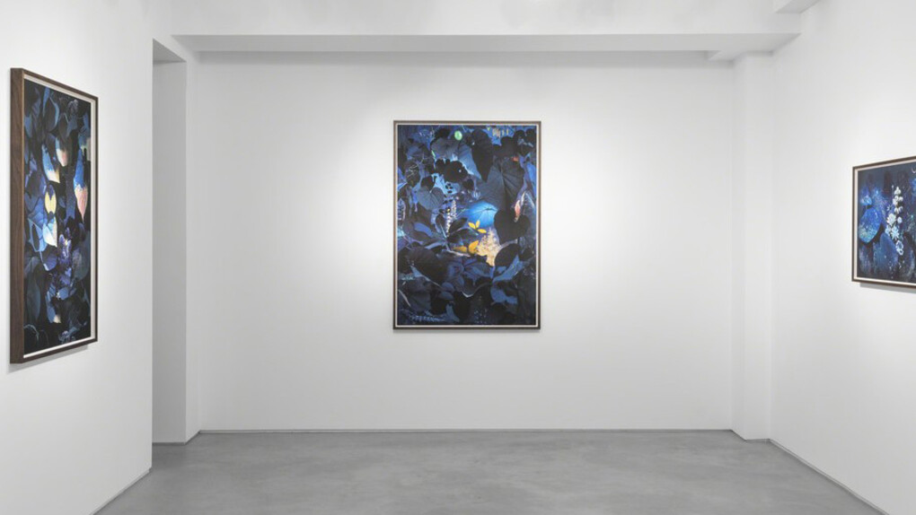 Ruud van Empel. Courtesy of Huxley-Parlour Gallery