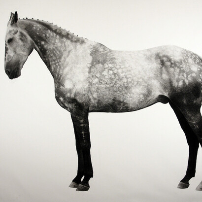 Jonathan Delafield Cook. Courtesy of Purdy Hicks