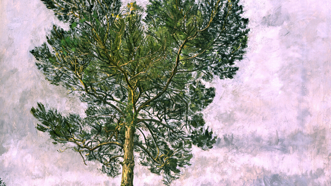 Christopher Bramham, Pine Tree, Winter (in progress), 2002, oil on canvas, 129 x 143 cm