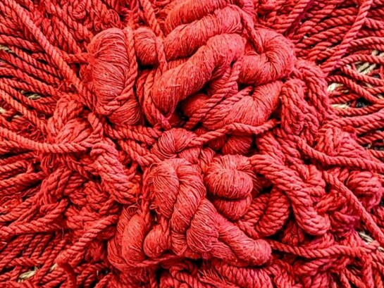 La exposición "Enraizada" de Alessandra Sequeira en Costa Rica utiliza instalaciones y cuadros textiles tridimensionales para crear una experiencia inmersiva