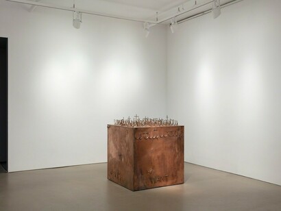 Want, Exhibition view. Courtesy of Alexander and Bonin