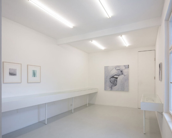 Betty Tompkins, Ausstellungsansicht, Kunstraum Innsbruck, 2017. Foto: Günter Richard Wett