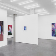 Tatiana Gorgievski, The skin I don’t have, exhibition view. Courtesy of Whitehouse Gallery