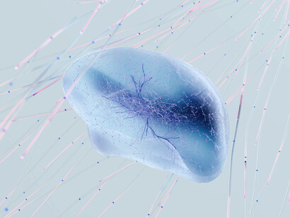 Medicina. Puoi utilizzare ChatGPT per ottenere risposte a domande mediche di base