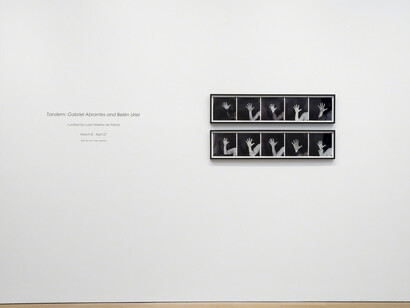 Exposures. Courtesy of Alexander and Bonin Gallery