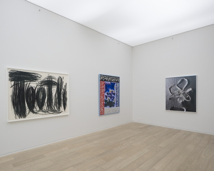 Trip of the Tongue, Exhibition view. Courtesy of Simon Lee Gallery