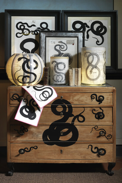Snake Collection