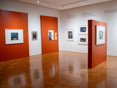 Various artists, Trajectories: Shifts, exhibition view. Courtesy of Galerija Božidar Jakac