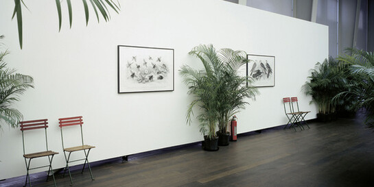 Marcel Broodthaers. Courtesy of Hauser & Wirth