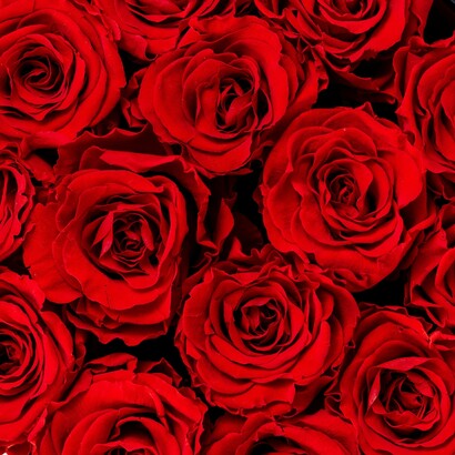 La presenza vibrante nasce dall’esserci senza invadere, creando uno spazio relazionale in cui la sensualità diventa ascolto, riconoscimento e connessione