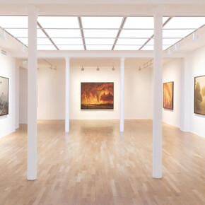 Antoine Roegiers, The great parade, exhibition view. Courtesy of Templon