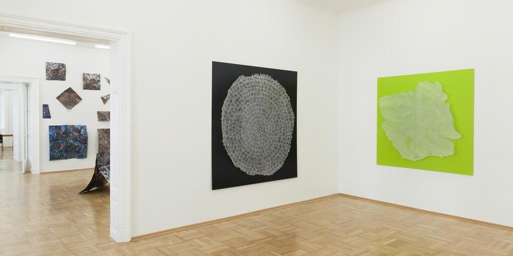 Daniel Knorr. Courtesy of Galerie nächst St. Stephan