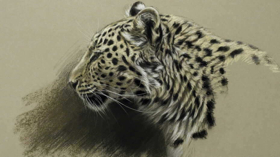 Gary Stinton. Courtesy of Jonathan Cooper Park Walk Gallery