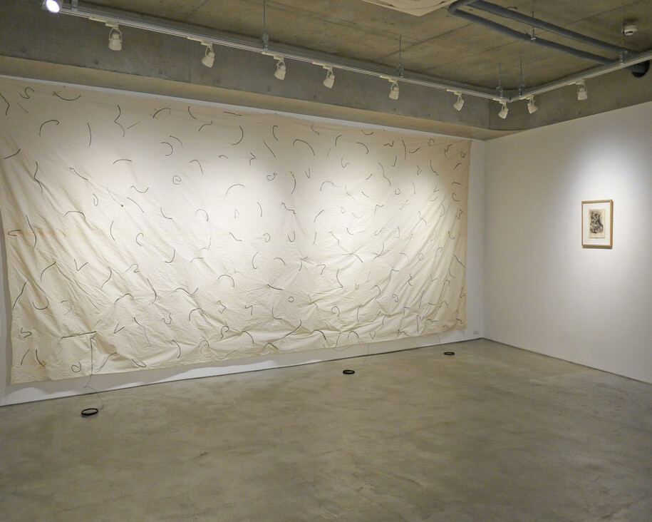 Fleeting Lines, Exhibition view. Courtesy of Sakurado Fine Arts