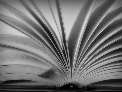 Madame Bovary non si faceva venire a prendere in spider dal suo amichetto