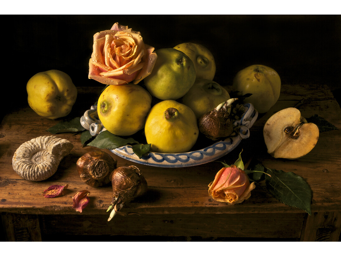 Paulette Tavormina, Quince, After GG, 2008 © Paulette Tavormina. Courtesy Huxley-Parlour Gallery, London
