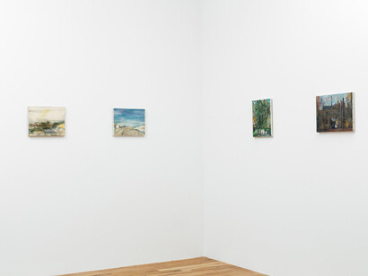 Henry Murphy, The sunbird, exhibition view. Courtesy of Fleisher/Ollman