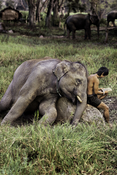 Steve McCurry. Courtesy of MUDEC