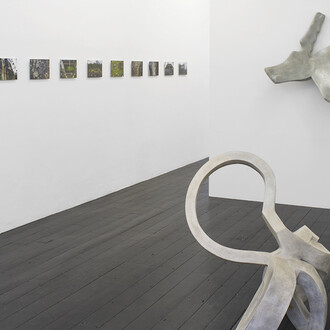 What branches grow out of this stony rubbish? Courtesy of l'étrangère