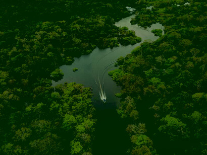 Per Francesco l’Amazzonia va tutelata in quanto “altra” e non in quanto territorio problematico da addomesticare e snaturare