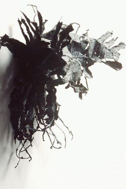 Intimate Immensity. Courtesy of PAFA