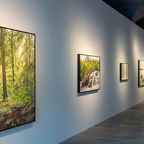 Passage. Courtesy of Galerie D'Este