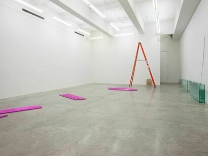 Exhibition views, We are the meeting. Photo: Jean Vong. Courtesy the artist and Casey Kaplan, New York
