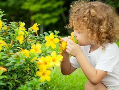 Ogni fiore rappresenta e tratta uno stato emotivo