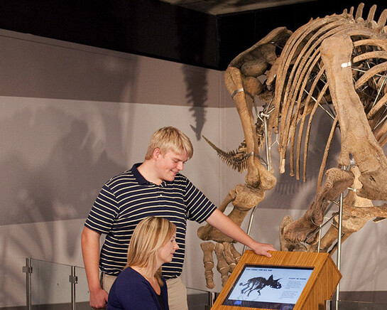 Colossal Fossil. Courtesy of Museum of Science 