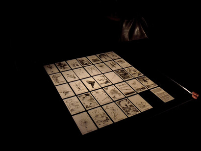 Tomás Saraceno, Aracnomanzia a Palazzo Strozzi