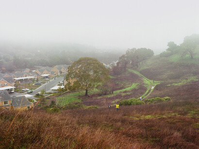 Larry Sultan, Novato (detail), 2009. Courtesy of Yancey Richardson Gallery