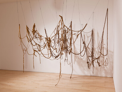 Eva Hesse (1936 1970).  	No title, (1969 1970).  	Latex, rope, string, and wire, Dimensions variable
	Whitney Museum of American Art, New York; purchase, with funds from Eli and Edythe L. Broad, the 
    Mrs. Percy Uris Purchase Fund, and the 	Painting and Sculpture Committee  88.17a b
    © Estate of Eva Hesse; courtesy Hauser & Wirth.  
