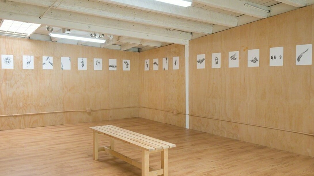 Manifestos, Exhibition view. Courtesy of Ochi Projects