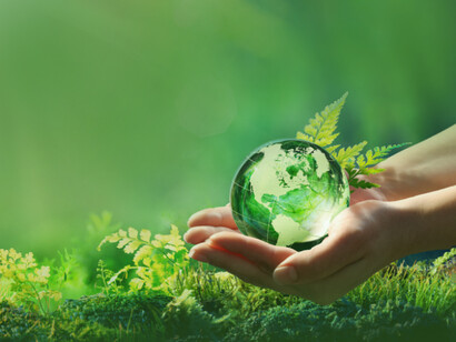 Biodiversity conservation