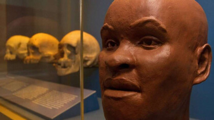 Crânio de Luzia, um dos fósseis mais antigos das Américas, e a reconstrução de sua face no Museu Nacional, Rio de Janeiro