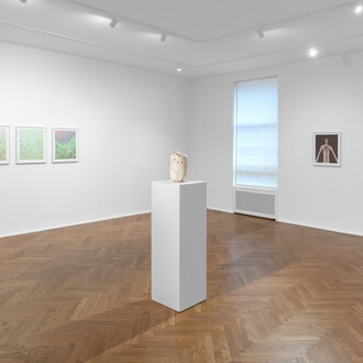 Sanya Kantarovsky, Scarecrow, exhibition view. Courtesy of Michael Werner Gallery