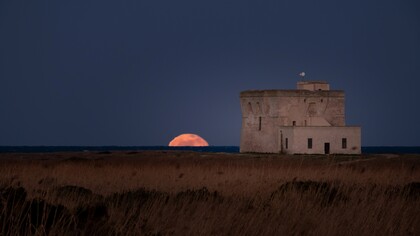 Riserva naturale statale Torre Guaceto è un'area naturale protetta situata sulla costa adriatica dell'alto Salento, a pochi chilometri dai centri di Carovigno e San Vito dei Normanni e 17 km a nord di Brindisi