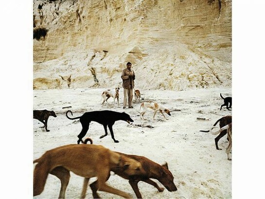 Daniel and the Hunting Dogs, 2012 Archival pigment print, 45 x 45cm, © Jason Larkin, courtesy of Flowers Gallery