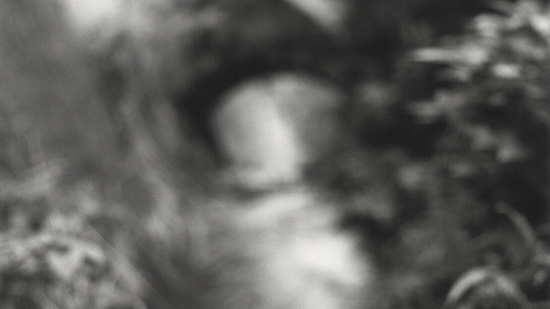 Kirk Palmer, From the series Precious Fragments, 2014, b/w selenium toned silver gelatin hand print © Kirk Palmer