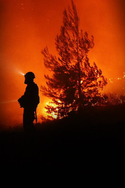 La recuperación de los bosques devastados podría tardar más de 200 años, lo que deja en evidencia la urgencia de tomar medidas preventivas y fortalecer la protección ambiental