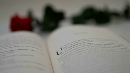 Une rose et un roman : les histoires d'amour du Goncourt finissent-elles toutes mal ? 
