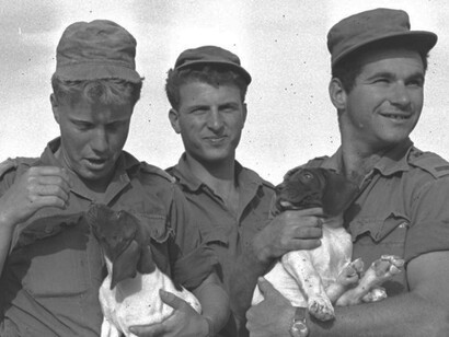 La Guerra de los Seis Días